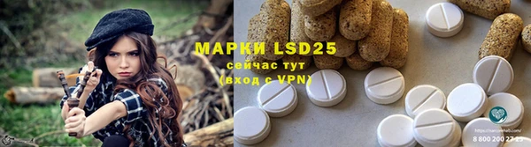 PSILOCYBIN Алексеевка