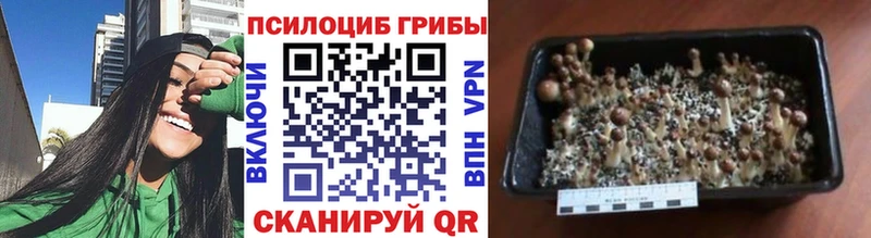 Галлюциногенные грибы мухоморы  Анива 
